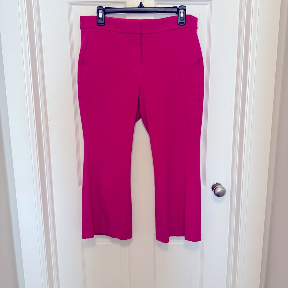 J Crew Factory Kelsey Cropped Pants.  Raspberry pink.  Women’s 12P. EUC